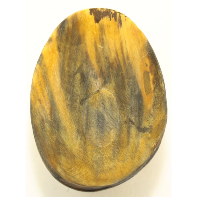 19th Century Large Oval Cattle Horn Bowl For Sale - Image 11 of 12