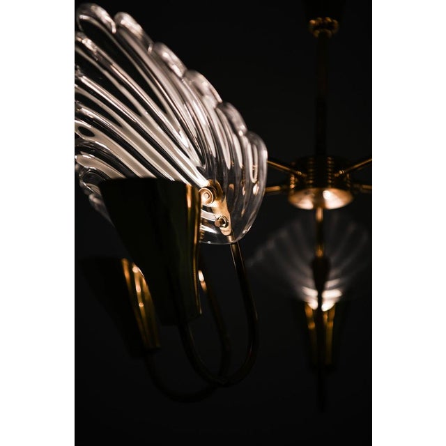 Ceiling Lamp with Five Gracefully Curved Brass Arms attributed to Carl Fagerlund, 1950s For Sale - Image 11 of 12