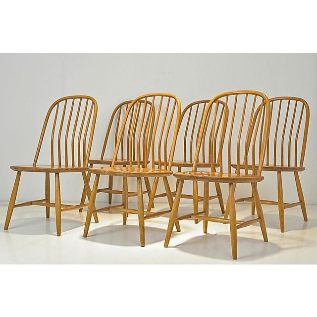 Akerblom Chairs by Bengt Åkerblom for Nässjö Chair Factory, Sweden, 1954, Set of 6 For Sale - Image 13 of 13