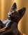 Unknown, Sculpture Chat, 1960s, Bronze For Sale - Image 6 of 8