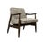 Mid-Century Modern GFM 87 Lounge Chair by Juliusz Kędziorek for GFM, Poland, 1960s For Sale - Image 14 of 14