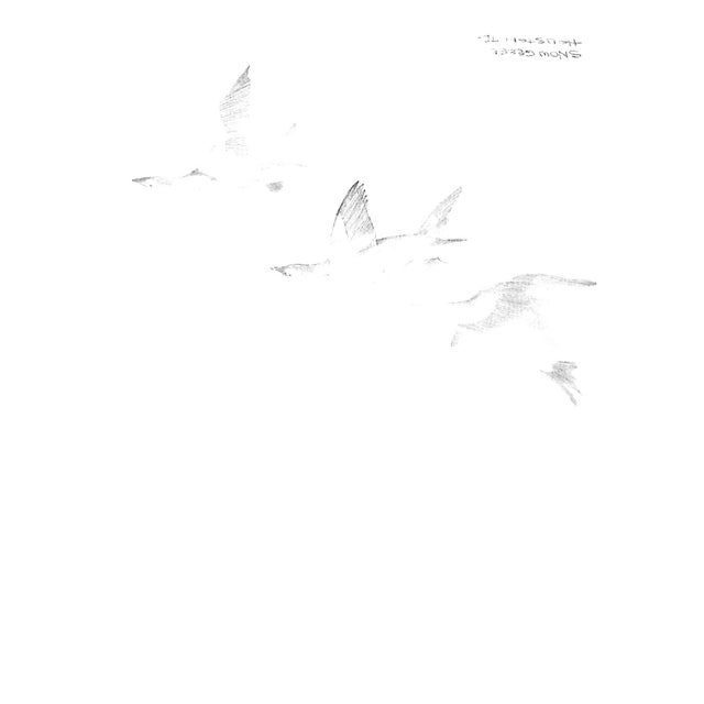 "A Wall-To-Wall of the Leash 1925-1975" Reichner, Morgan s.A. For Sale - Image 11 of 12