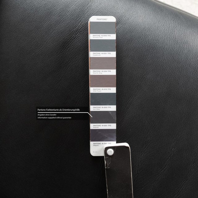 Animal Skin Cumuly Leather Three-Seater Grey Sofa from Himolla For Sale - Image 7 of 12