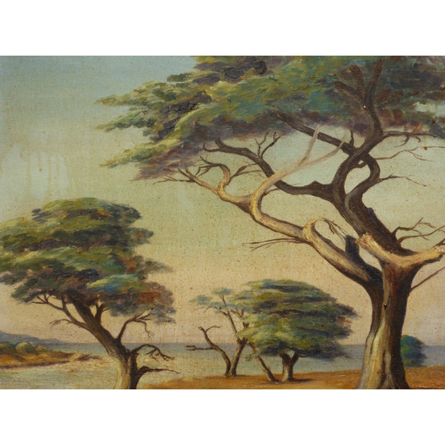 1950s Vintage Oil on Canvas Picture Painting of Trees Signed by Grace Snow For Sale - Image 5 of 13
