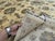 Hand-Knotted Afghan Oushak Chobi Wool Area Rug - 9'0" X 12'0" For Sale - Image 14 of 14