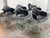 Modern Charles & Ray Eames for Vitra Eames Plastic Dar Armchair, Set of Six For Sale - Image 3 of 12