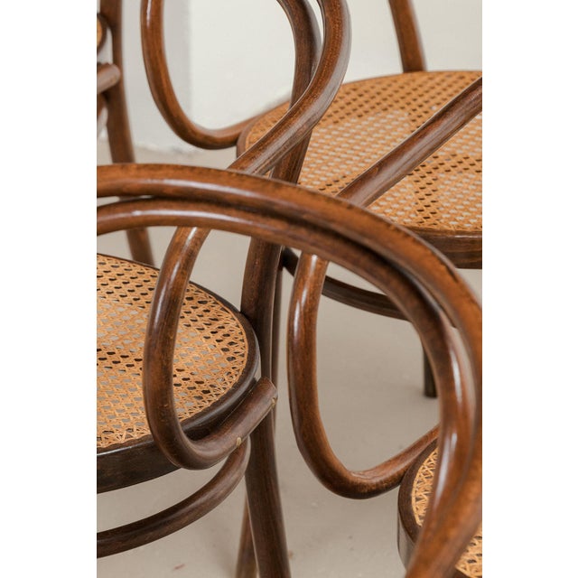 Model 209 Dining Chairs from Thonet, 1960s, Set of 6 For Sale - Image 10 of 13