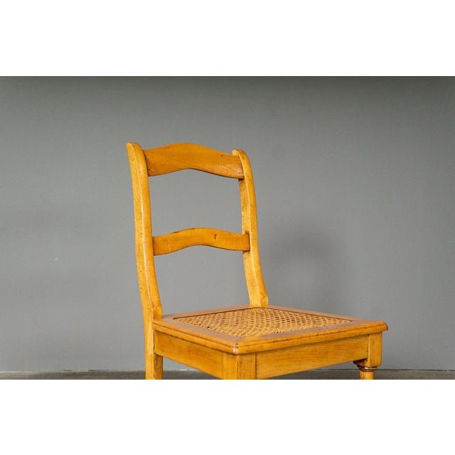 Biedermeier Chair in Birch For Sale - Image 10 of 18
