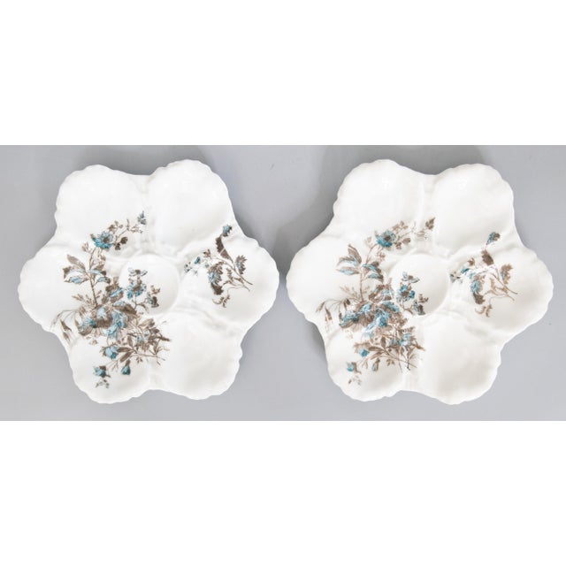Antique 19th Century French Limoges Porcelain Floral Oyster Plate For Sale In Houston - Image 6 of 7
