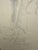 Carl Heinz Berberich, Nude Drawing, 1923, Pencil For Sale - Image 6 of 13