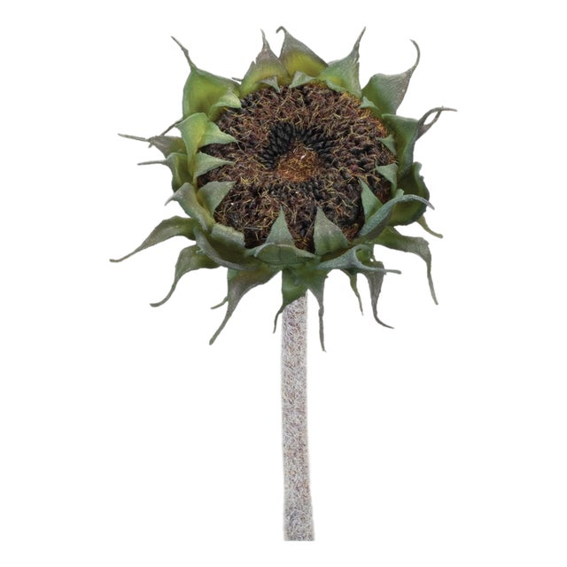 Brown Sunflower Stem (Set of 6) For Sale