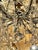 Metal 19th C. French Beaded Crystal Basket Chandelier For Sale - Image 7 of 8