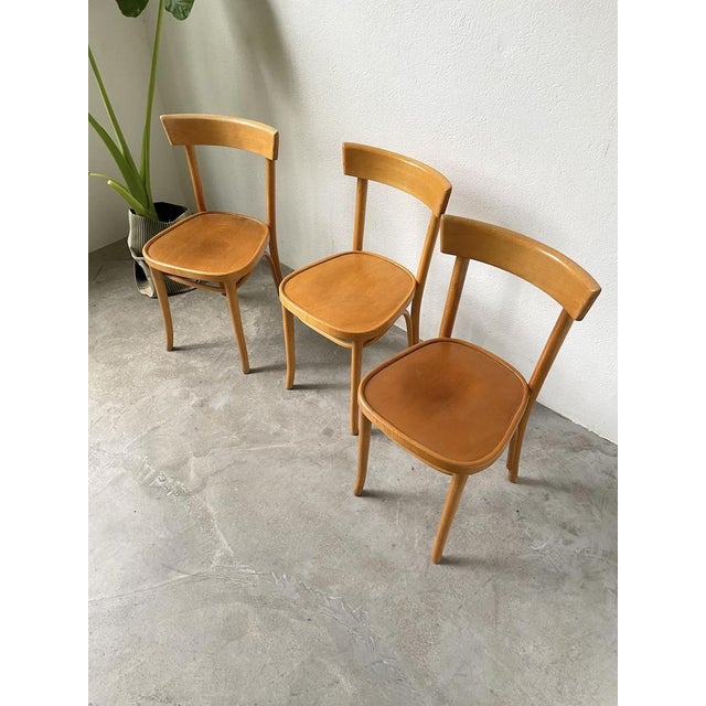 Bistro Chairs, 1960s, Set of 3 For Sale - Image 9 of 18