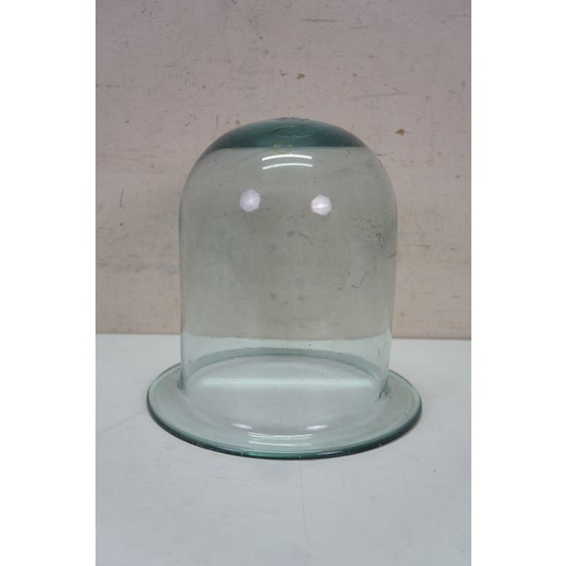 Hand Blown Glass Cloche Apothecary Bell Jar Display Dome Terrarium 10" For Sale - Image 9 of 12