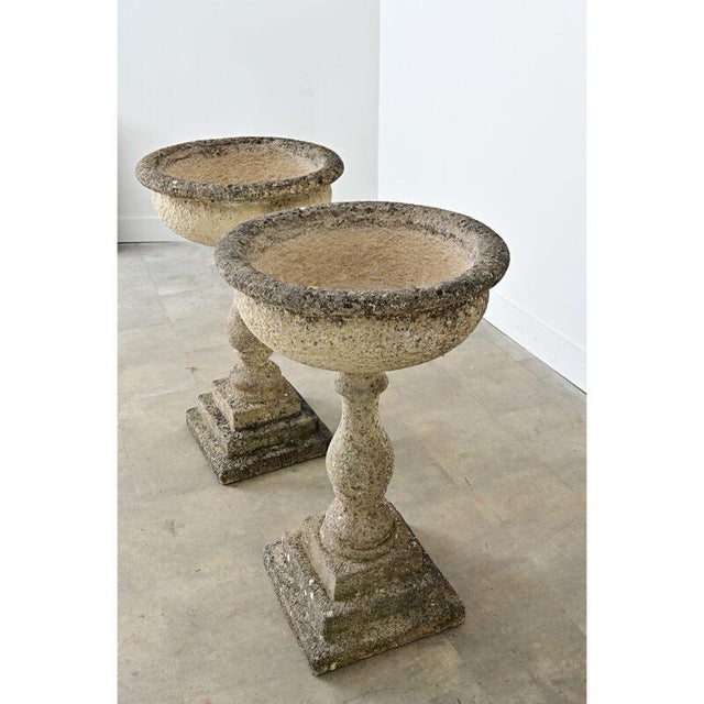 English Pair of 19th Century Cast Stone Planters For Sale - Image 14 of 14