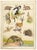 An original mid-20th-century gouache painting, William Neave Parker, Taxonomic Orders of Mammals.An outstanding large...