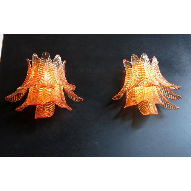 2020s Pair of Murano Amber Felci Glass Wall Sconces- 10 Glass For Sale - Image 5 of 7