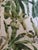 Nina Campbell Benmore 2 Linen Fabric Ashdown Collection Osborne & Little 2 Yards Manufacturer: Osborne & Little Brand:...