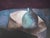 Claude GAVEAU (1940) Still Life with Blue Vase Original color lithograph Signed in pencil Limited edition of 90 (the...