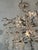 John-Richard John-Richard Collection Shiro Noda Chandelier For Sale - Image 4 of 5