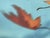 Sky Blue Thom Filicia for Soicher Marin Leaves in Motion Print, Framed For Sale - Image 8 of 12