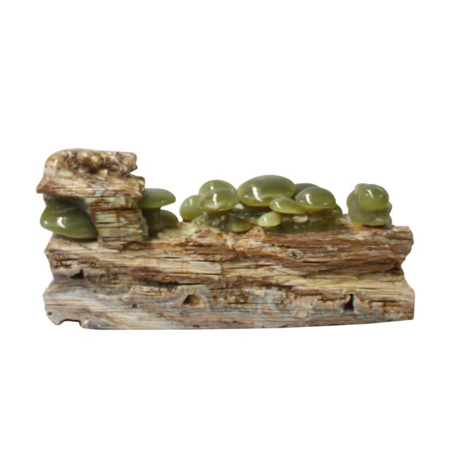 Natural Stone Carved Snail Mushroom on Wood Fengshui Display Figure For Sale - Image 4 of 6
