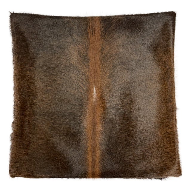 Reversible 18” X 18” Premium Brazilian Watusi Cowhide Pillow Cover – Sculptural Spine Composition - Handcrafted by Pablo Sota Designs. For Sale