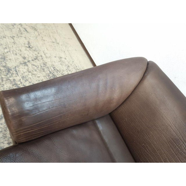 Brown Ds 47 2-Seater Sofa in Leather from de Sede For Sale - Image 8 of 13