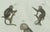 Black Bertuch, Five Monkeys and Tamarins, 1802, Engraving For Sale - Image 8 of 9