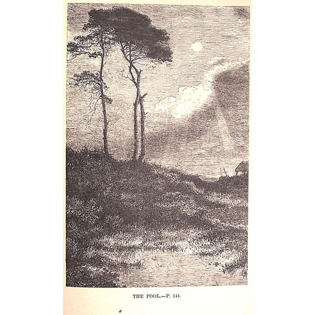 White "A Tour Round My Garden" Wood, Rev. j.g. For Sale - Image 8 of 12