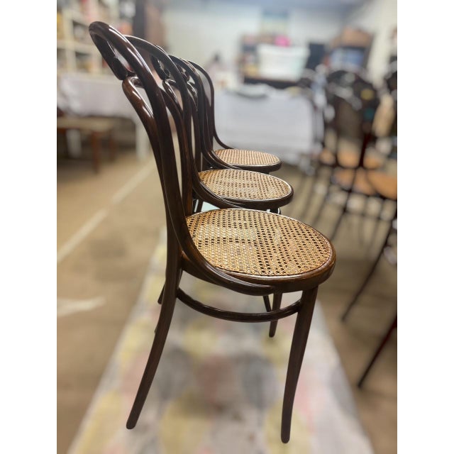 Wood Chairs from Jacob and Josef Kohn, 1890s, Set of 6 For Sale - Image 7 of 8