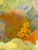 2020s “Coyote Eye View” a High Desert Painting by LWren Walraven For Sale - Image 5 of 7