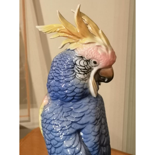 Blue Porcelain Parrot Figurine by Karl Ens, Saxe, 19th Century For Sale - Image 4 of 12