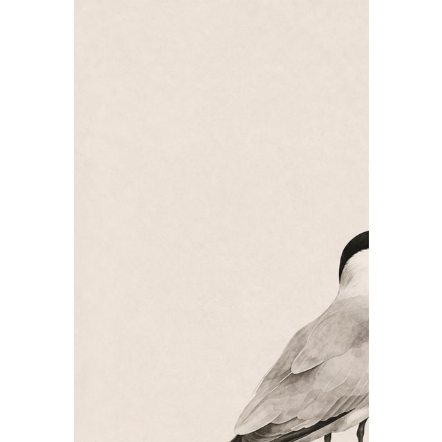 Coastal Tern Study, Minimalist Nautical Art Print, 24″ × 36″ Reproduction For Sale In Buffalo - Image 6 of 10