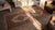 Early 20th Century Persian Camel Hair Serab Carpet For Sale - Image 11 of 12
