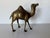 1980s Vintage Solid Brass Camel Figurine Sculpture For Sale - Image 10 of 12