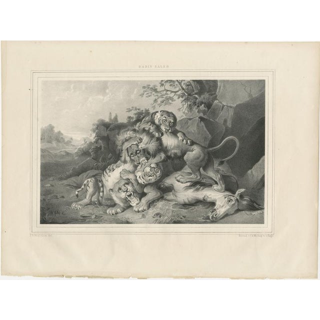 Raden Saleh, Tigers & Lions Fight Horse, Lithograph, 1845 For Sale - Image 3 of 10