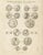 Tardieu, Antique Print of Ancient Greek Coins and Medals, 1825, Engraving For Sale - Image 9 of 9