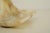 Light Yellow Mid-Century Modern Bowl in Onyx Natural Stone, 1970s For Sale - Image 8 of 11