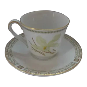 1970's Royal Doulton " White Nile" Pattern Cup & Saucer