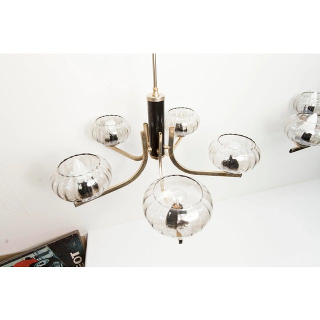 1960s Black and Gold Chandelier with Transparent Glass from See Delmas, 1960s For Sale - Image 5 of 18