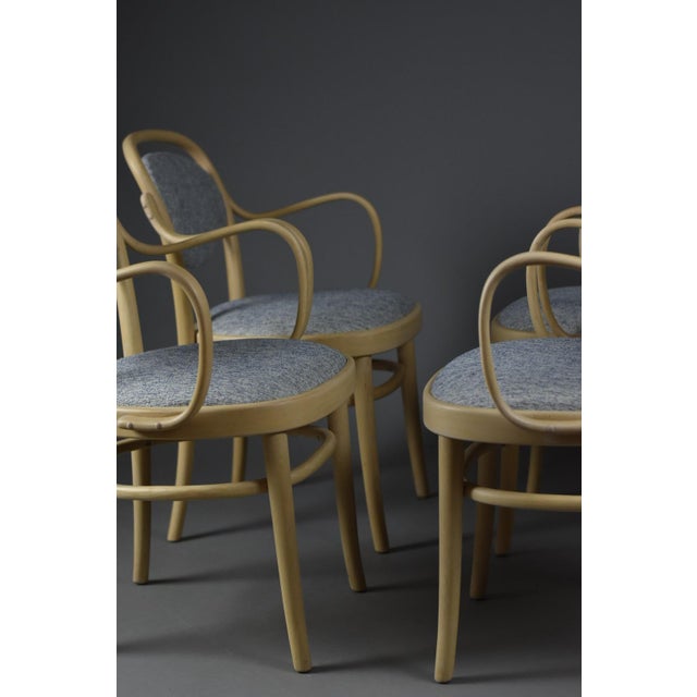 Midcentury Modern Dining Bentwood Chairs from Gemla Möbler, 1970s, Set of 4 For Sale - Image 14 of 17