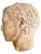 Introduce a piece of history into your collection with this antique life-size stone head from the early 1900s. This...