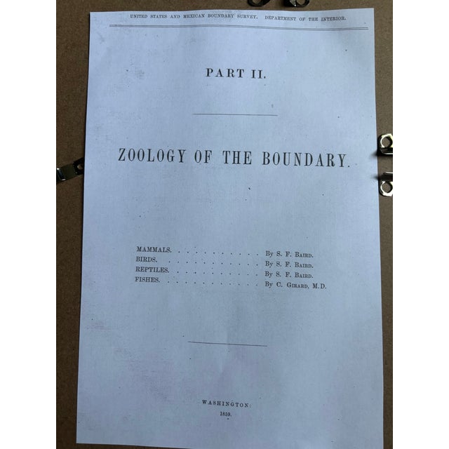 Snake Lithographs, Published 1859, Set of Four For Sale - Image 14 of 15