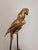 1970s Hollywood Regency Brass Parrot Sculpture, 1970s For Sale - Image 5 of 18