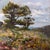 Landscape I by Caitlin Hurd | Oil on board Landscape with trees and wildflowers. For Sale