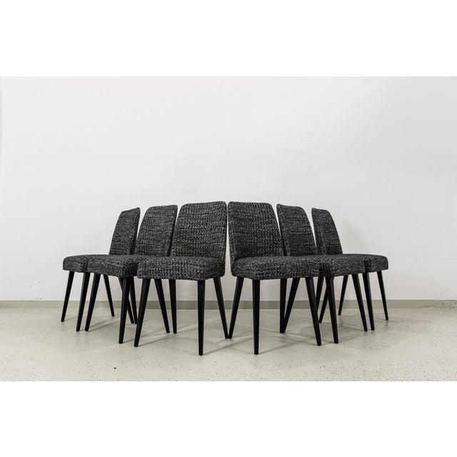 Mid-Century Modern Vintage Dining Chairs, Poland, 1960s, Set of 6 For Sale - Image 3 of 16