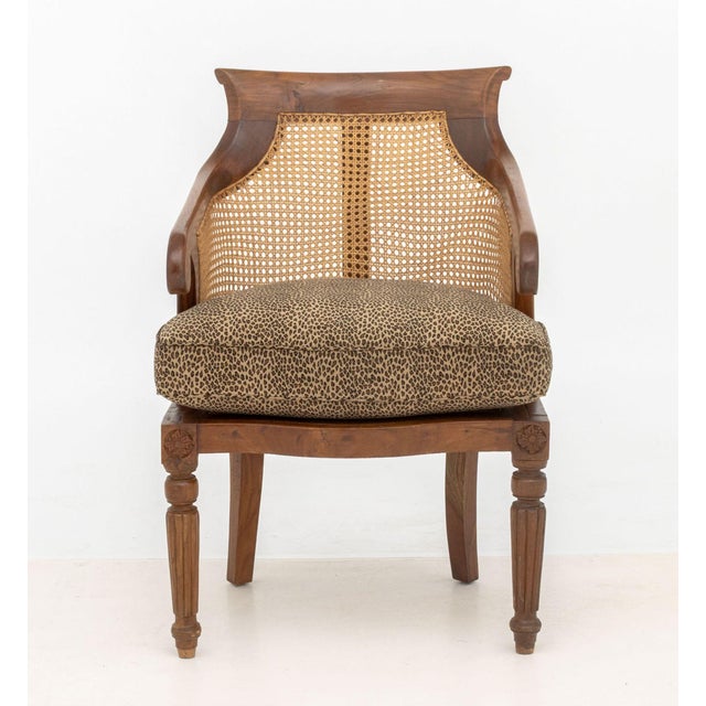French French Empire Style Cane Paneled Walnut Bergere For Sale - Image 3 of 9