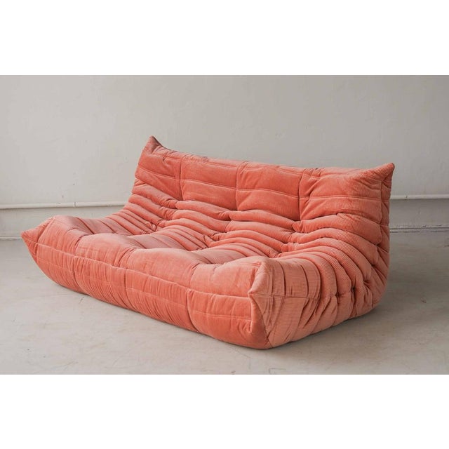 Coral Corduroy Togo Three-Seat Sofa by Michel Ducaroy for Ligne Roset For Sale - Image 3 of 12