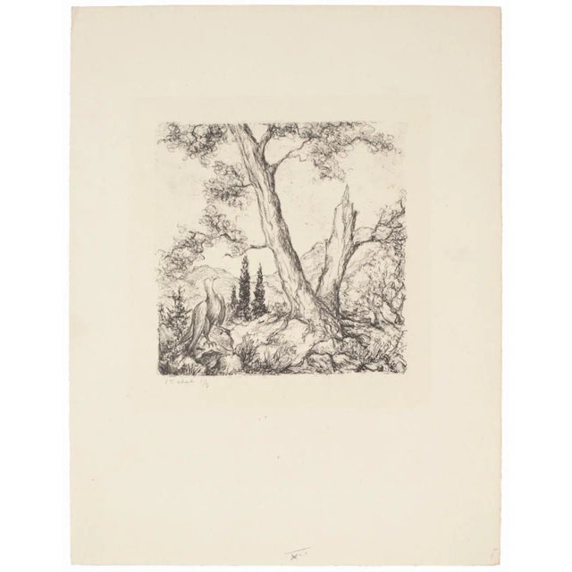 Nude is an original etching realized by an Anonymous artist in the 1960s. Sheet dimension: 32.5 x 25 cm Very good...